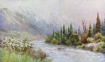 Mattina Presto vicino a Pahlgam, Valle del Lidar